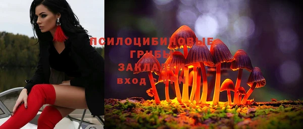 дживик Нягань