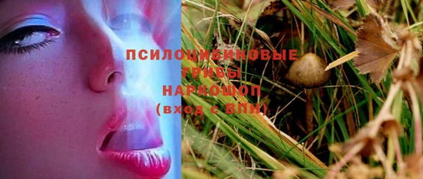бошки Алзамай
