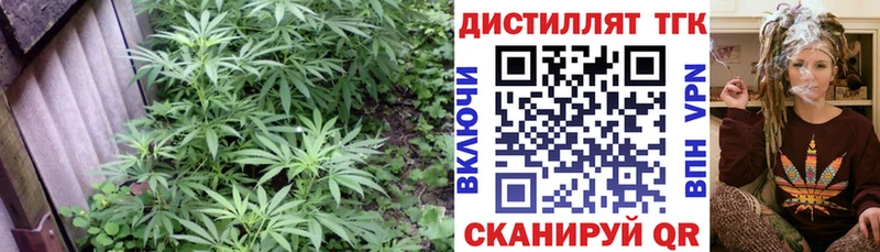 где продают   Коряжма  даркнет состав  Дистиллят ТГК THC oil 
